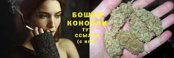 прущие грибы Нягань