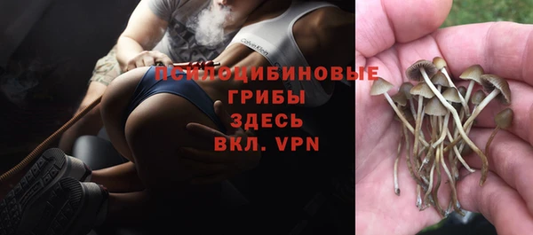 меф Няндома