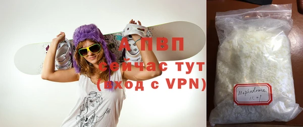 СК Вязьма