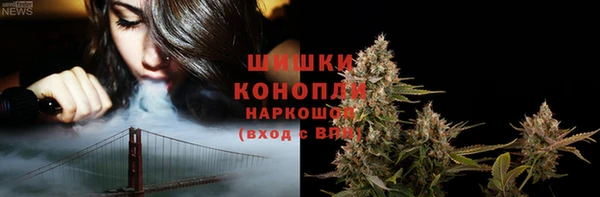 прущие грибы Нягань