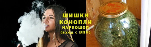 прущие грибы Нягань