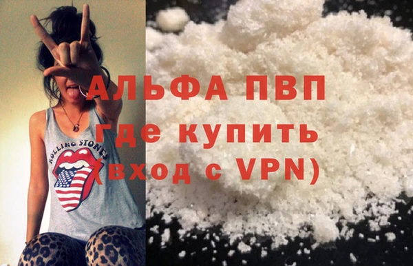 прущие грибы Нягань