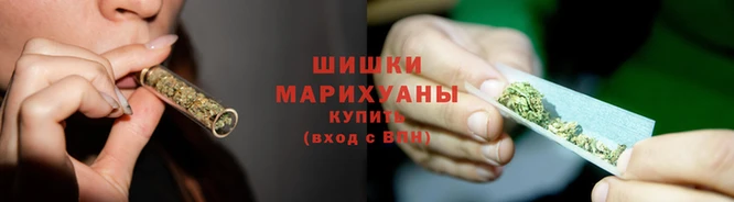 прущие грибы Нягань