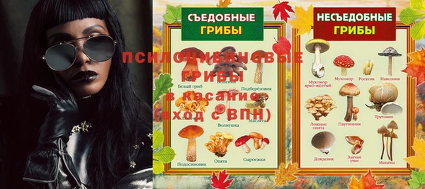 меф Няндома
