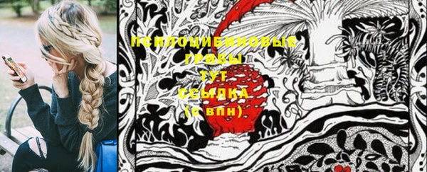 прущие грибы Нягань