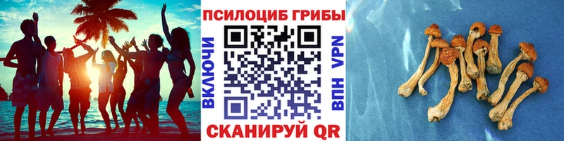 Псилоцибиновые грибы прущие грибы  MEGA вход  Белоозёрский 